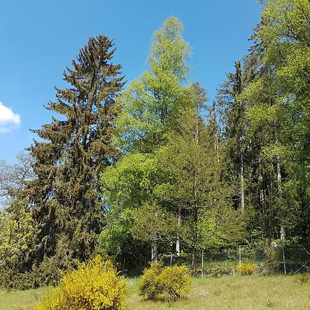 Vakantiehuis Pur Im Nordschwarzwald *