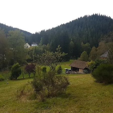 Pur Im Nordschwarzwald Enzklösterle